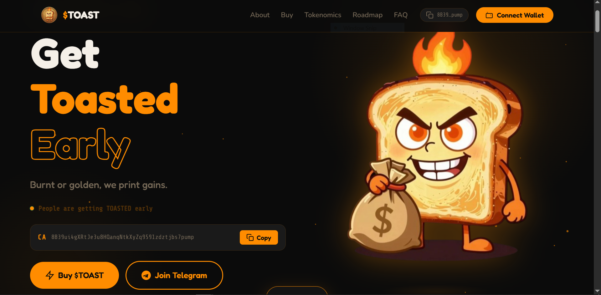TOASTTOKEN token website preview